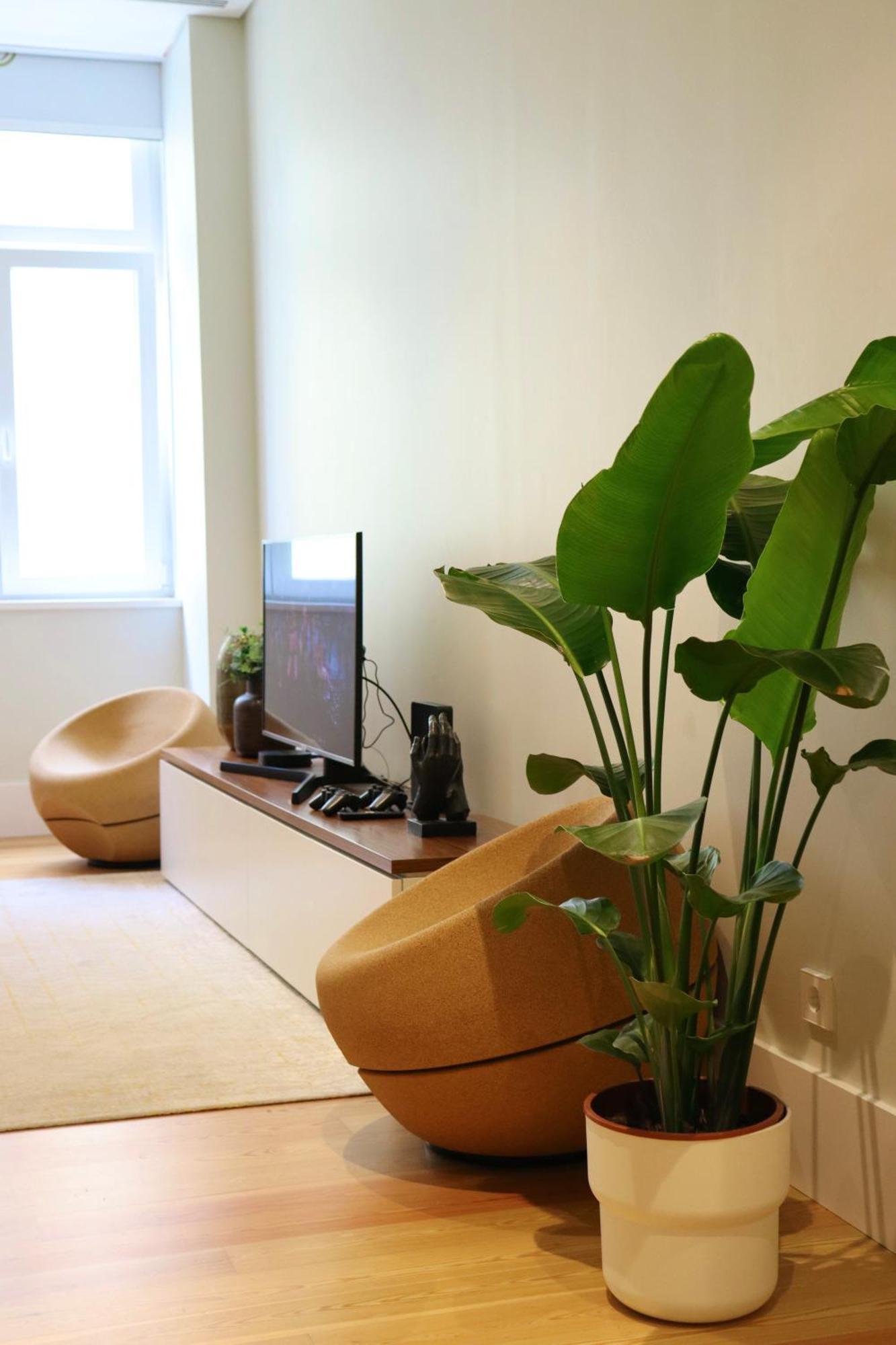 Quarto em Acomodações Particulares Center Amazing